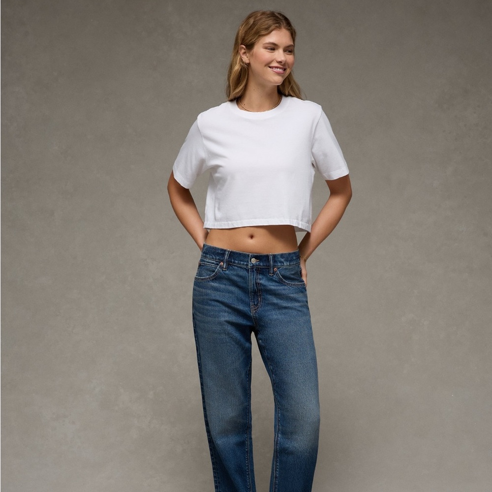 American Eagle Strigid Low-Rise Baggy Straight Jean